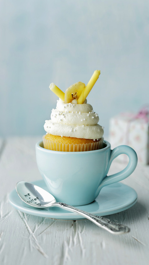 Practice of family sponge cake 97 preview
