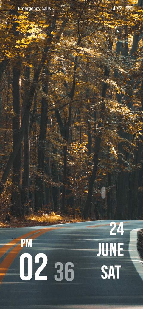 Road Trees preview