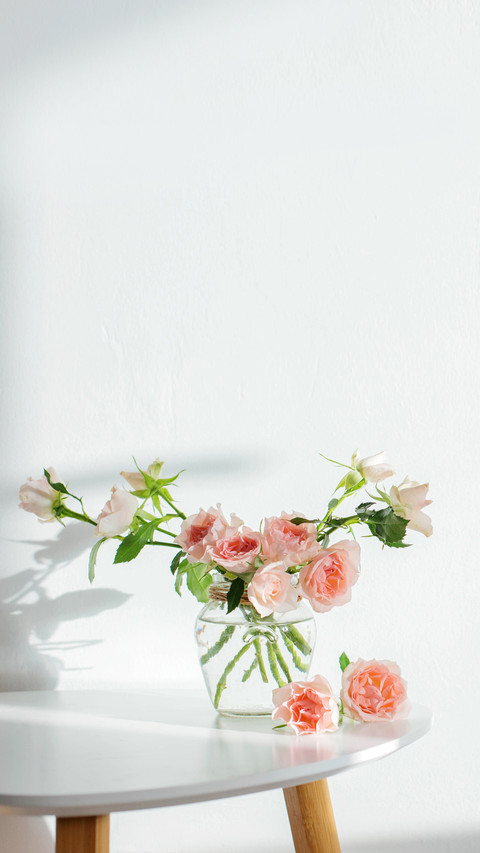 Pink roses in glass jar on white modern table on background preview
