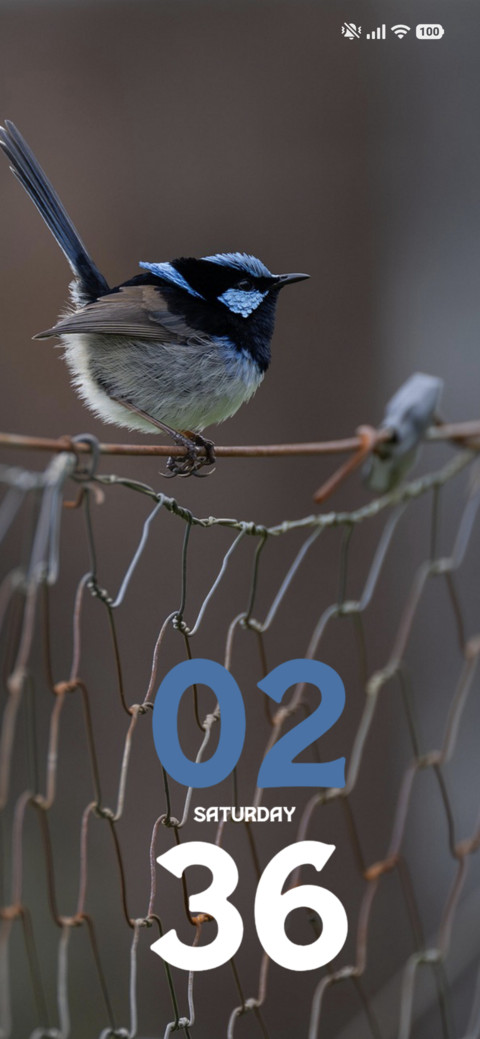 Wire Finch preview