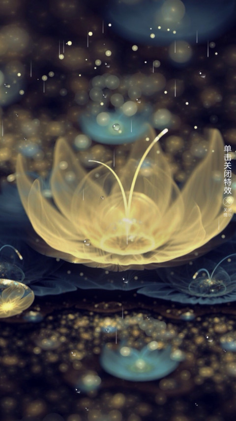偏爱 preview