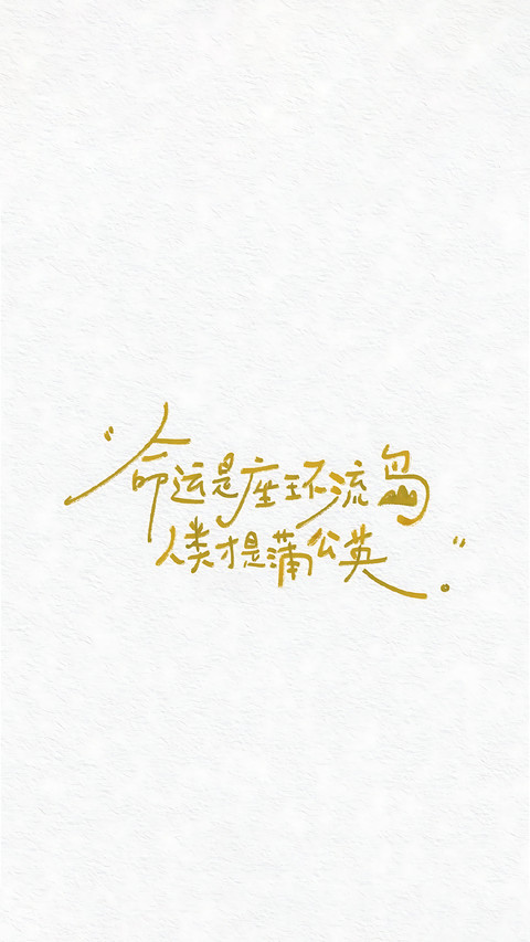 一纸心事，半句人生 preview