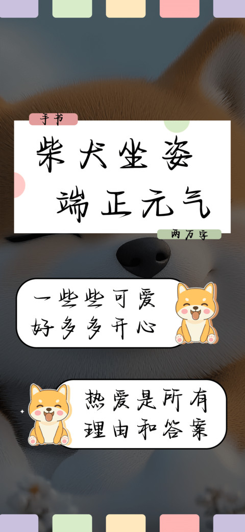 柴犬坐姿端正元气 preview