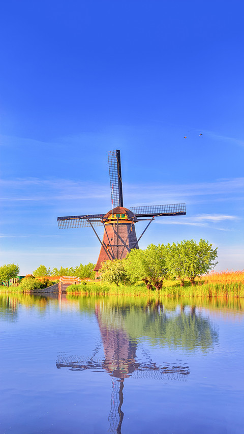 Traditional Romantic Dutch Windmills in Kinderdijk Village preview