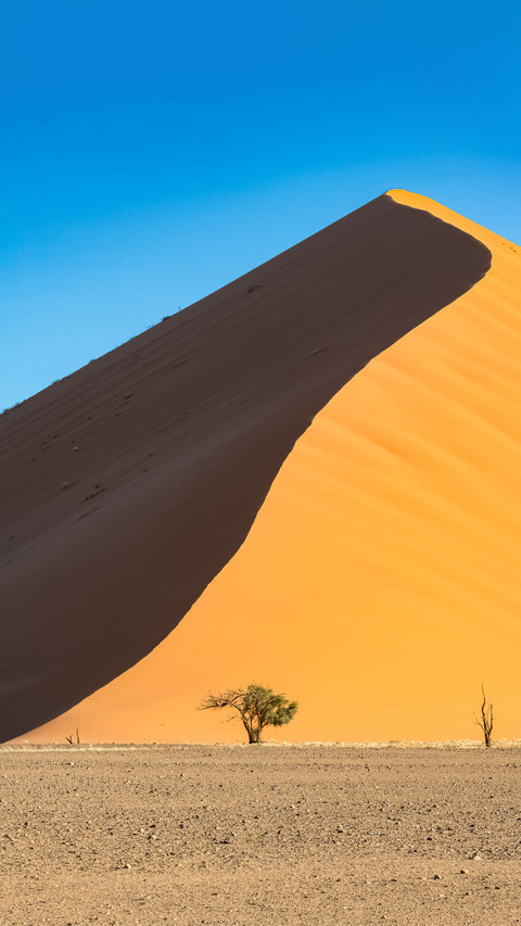 Pure desert preview