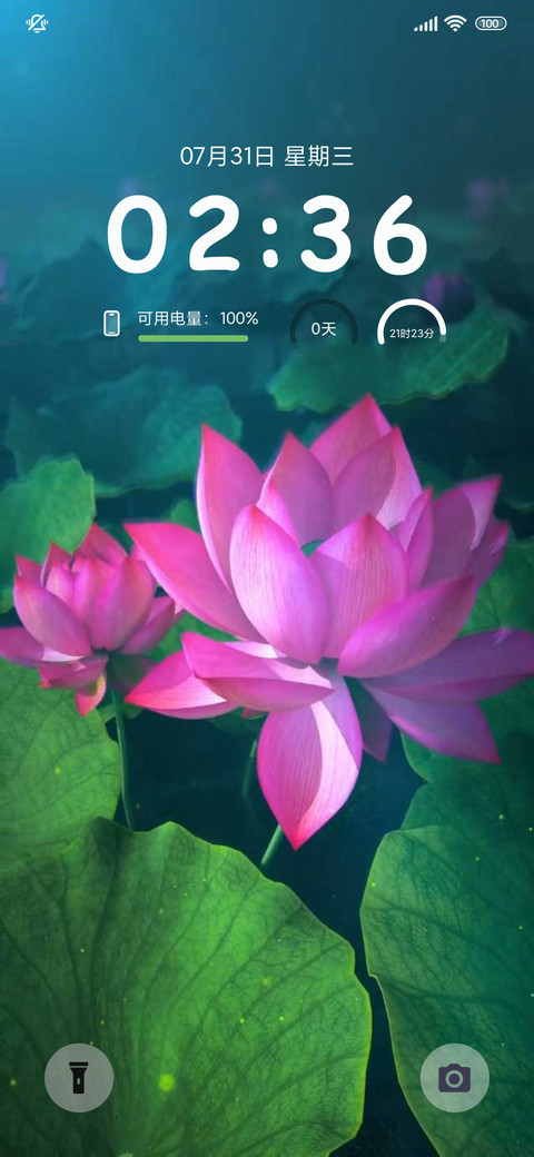 动态 荷花开放 preview