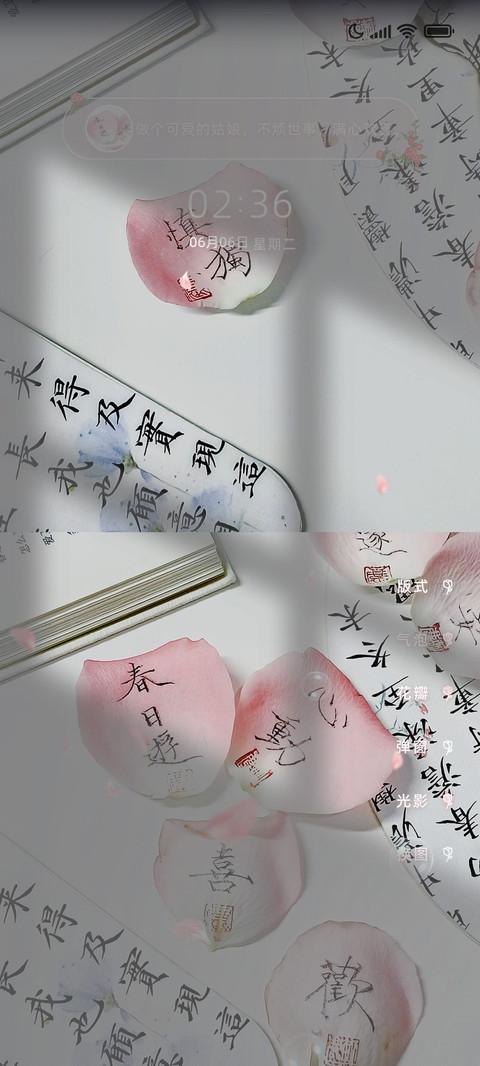 纸上花信中月 preview