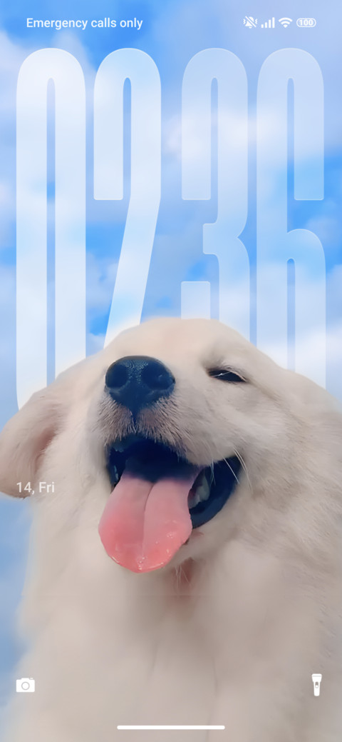 Angel Dog preview