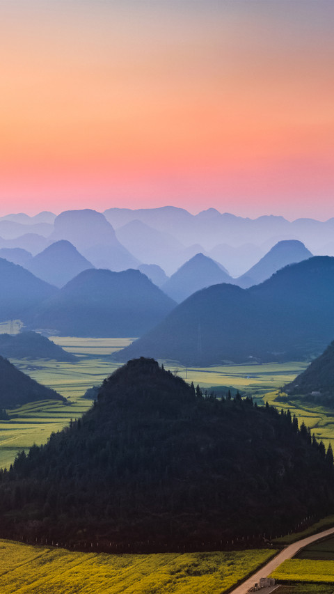 Landscape vegetation preview