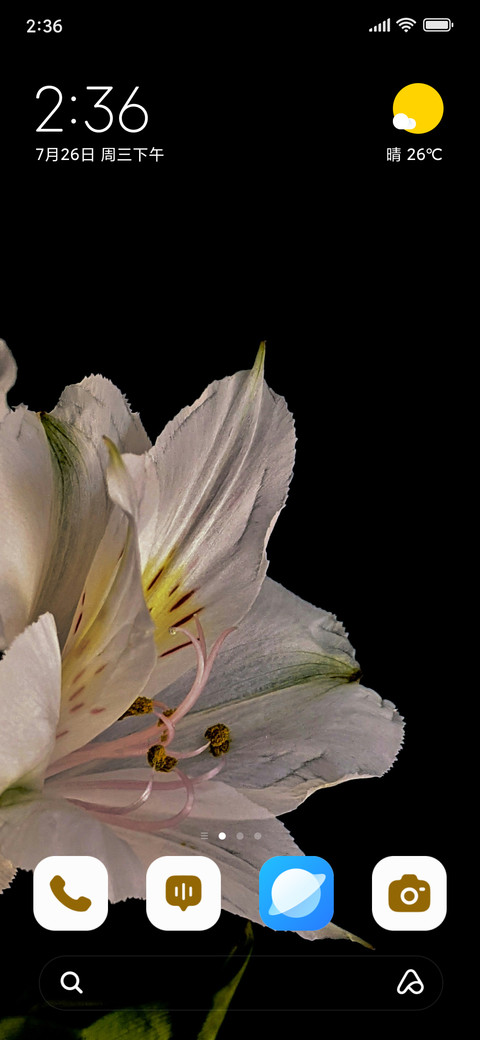 Petal Ray preview
