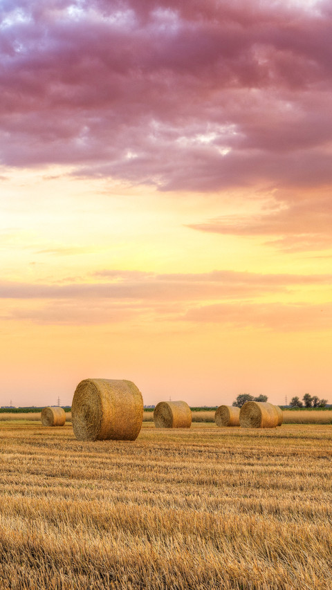 Sunset over farm field with hay bales in Hungary preview