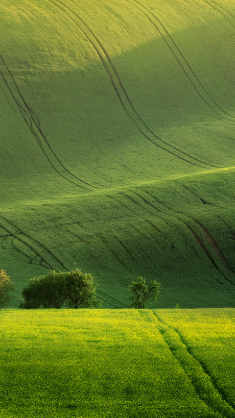 Green Hills of the Czech Moravia preview