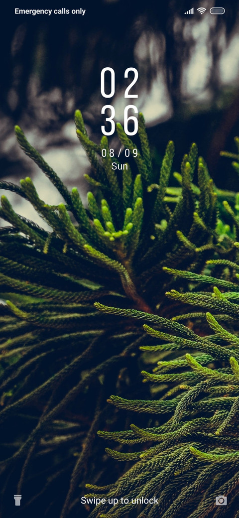 Woods - Gunpoint_3MDS preview