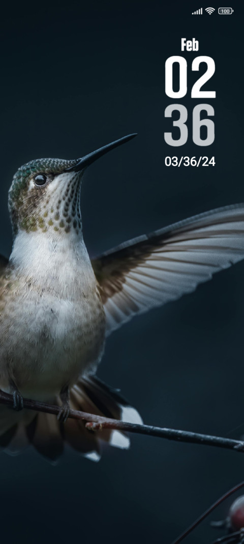 Bird preview