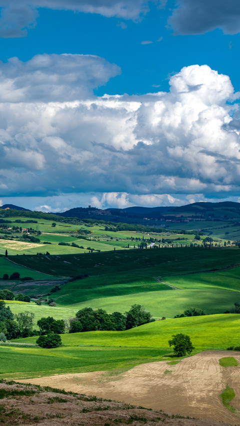 Wheat field and grassland preview