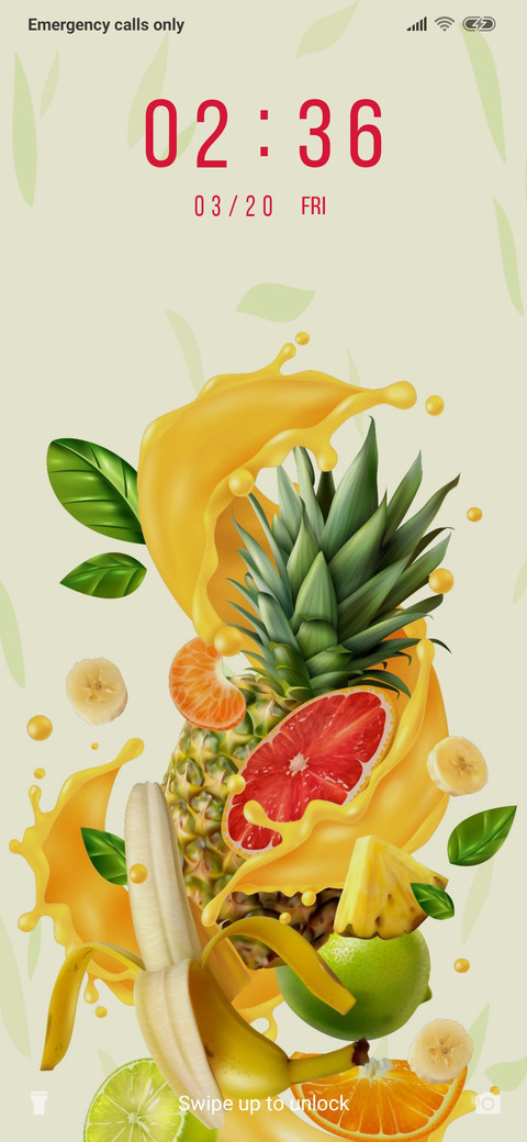 Fruit Lover_3MDP preview