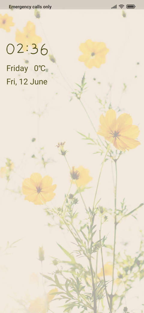 Daisy preview