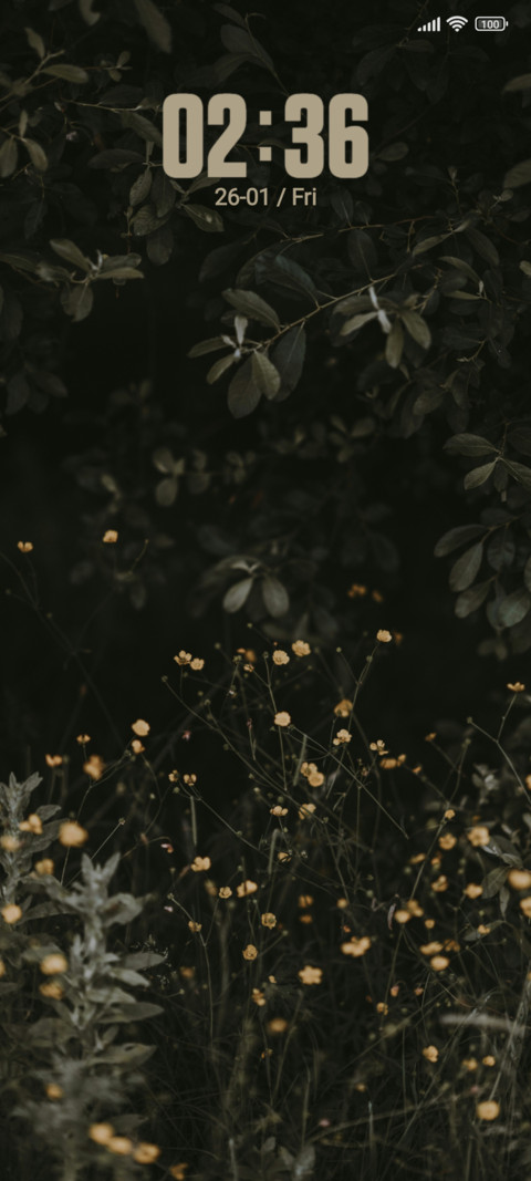 Shift Lens preview
