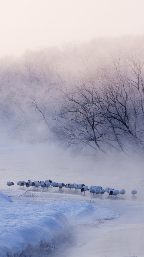 Winter fog makes people love and hate 87 preview