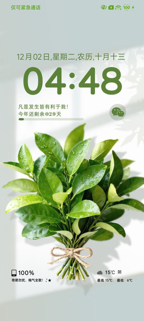 柚子叶壁纸 preview