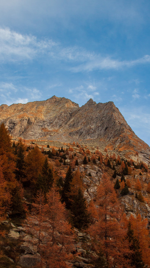 The autumn charm paints all the peaks preview