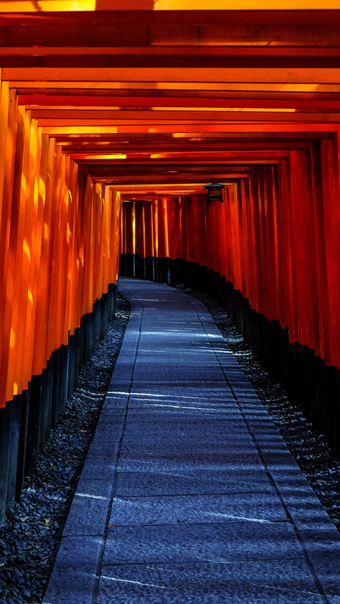 鸟居步道 preview