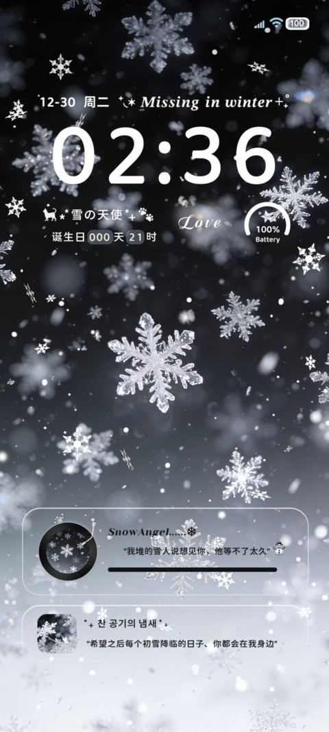 重感光栅 冬日雪花 preview