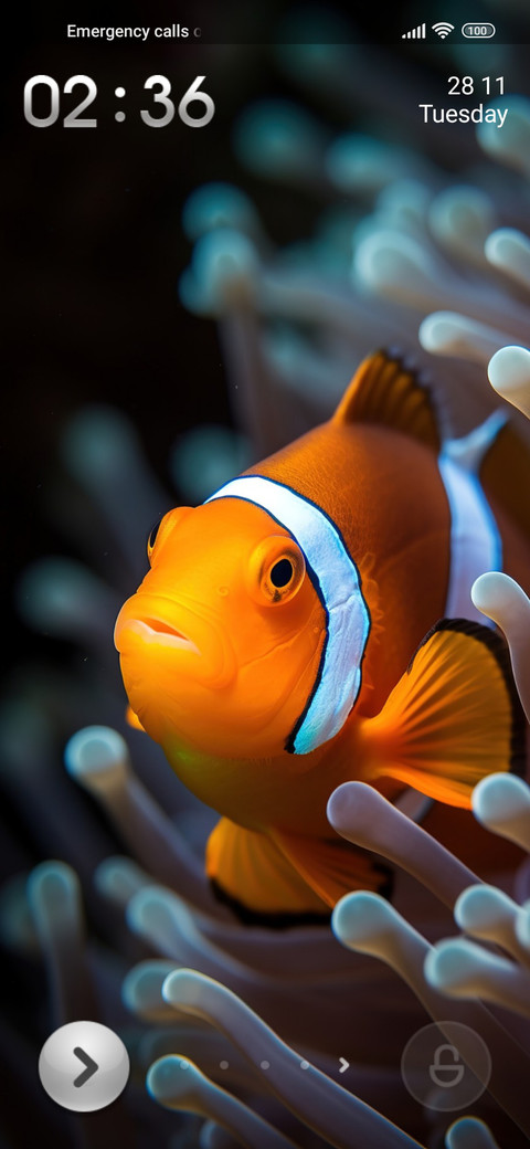 water clownfish preview