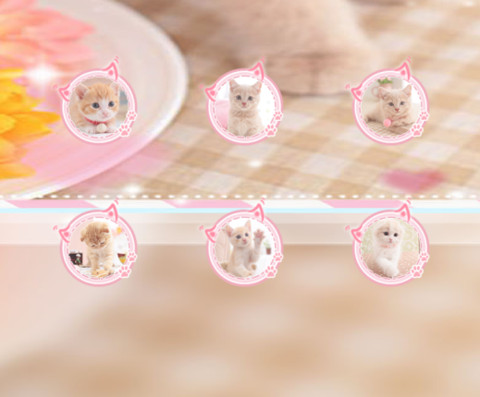 快乐小萌猫 preview