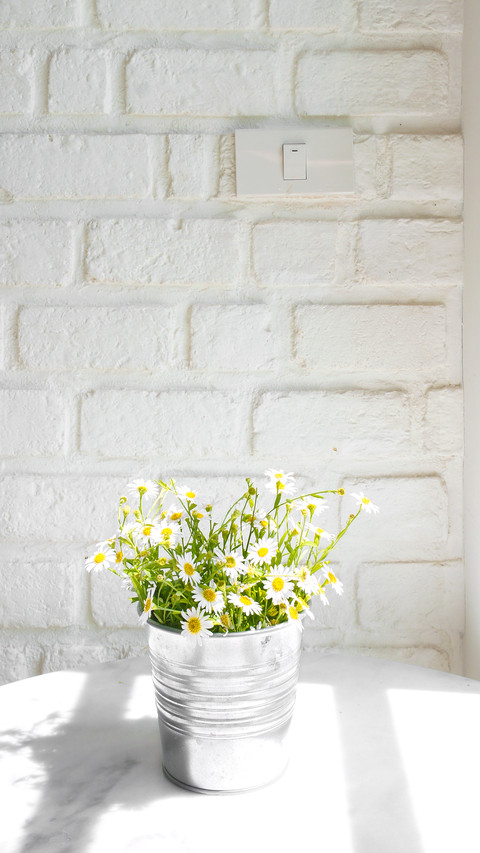 Flower Pot with Daisy By the Window with White Brick Wall preview
