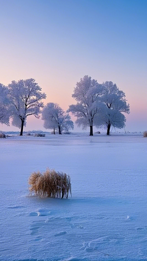 Jilin Landscape Painting Exhibition preview