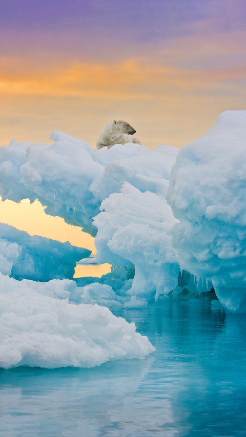 Arctic Temperature Soars to a New High 4 preview