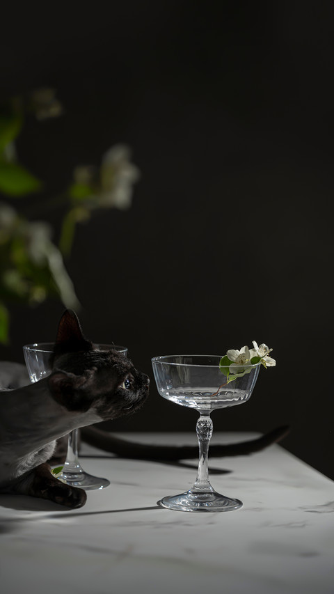 Beautiful Empty Glasses on High Leg preview