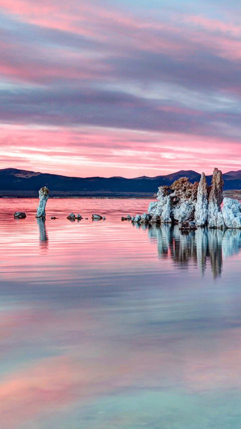 International-monolake preview