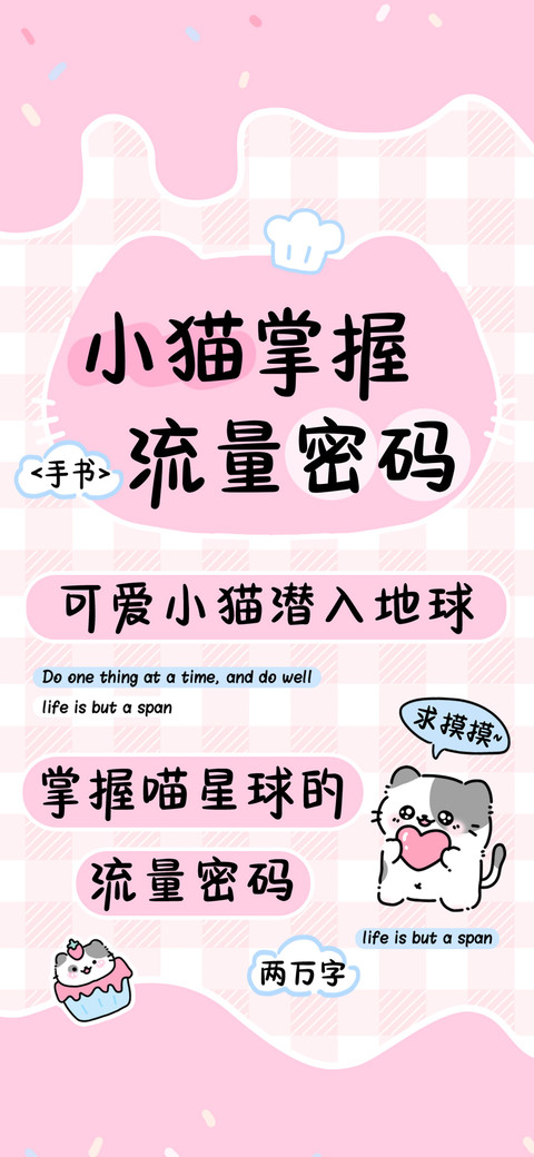 小猫掌握流量密码 preview