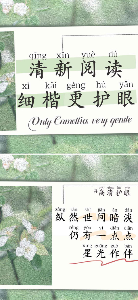 清新阅读细楷更护眼 preview