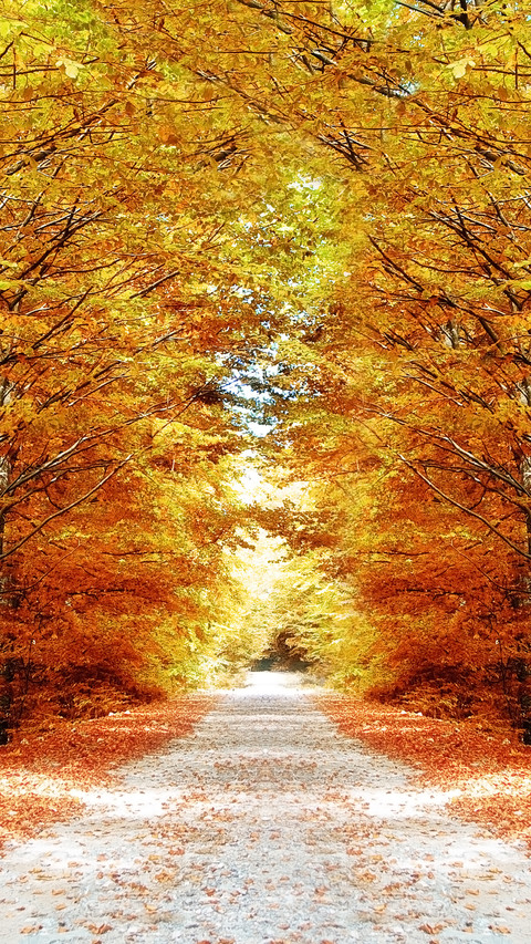 Autumn style preview