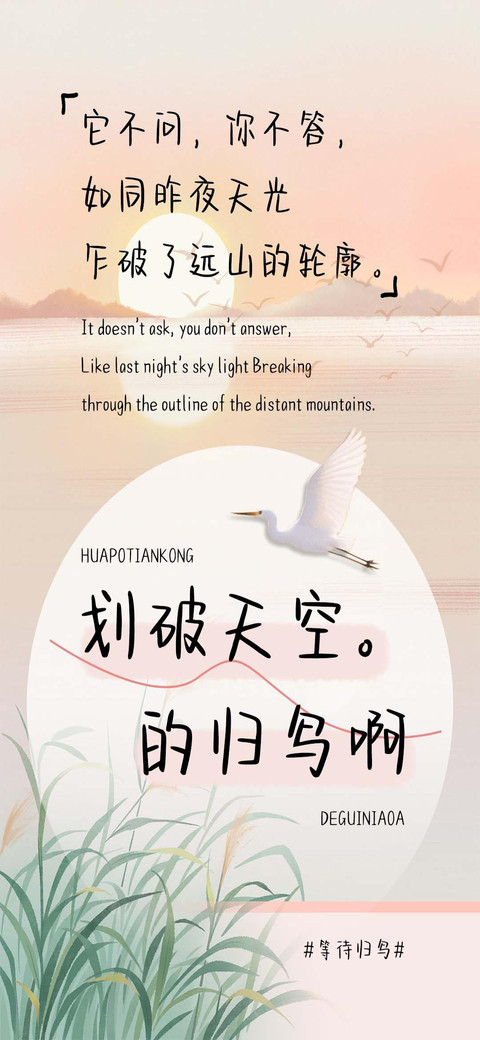 划破天空的归鸟啊 preview