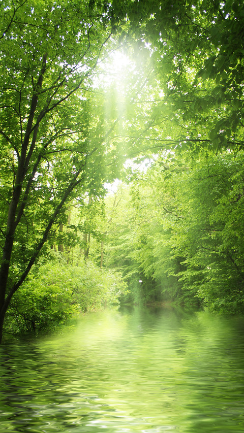Natural rivers preview