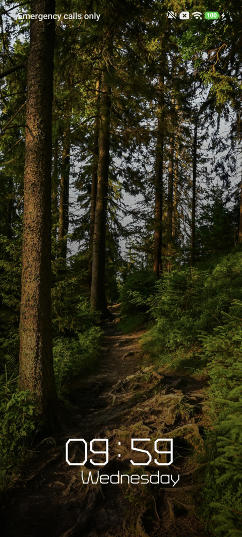 Forest Trail preview