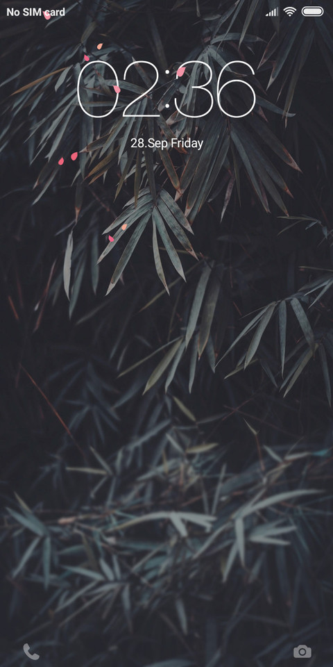 Bamboo forest preview