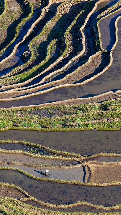 Beautiful Terraces preview