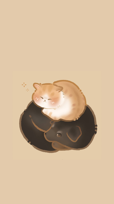 关于猫咪的隐藏小秘密 preview