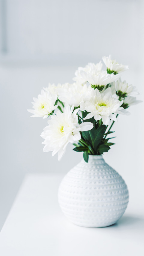 flowers-07 preview