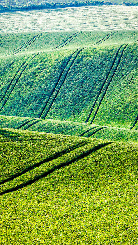 Natural scenery-01 preview