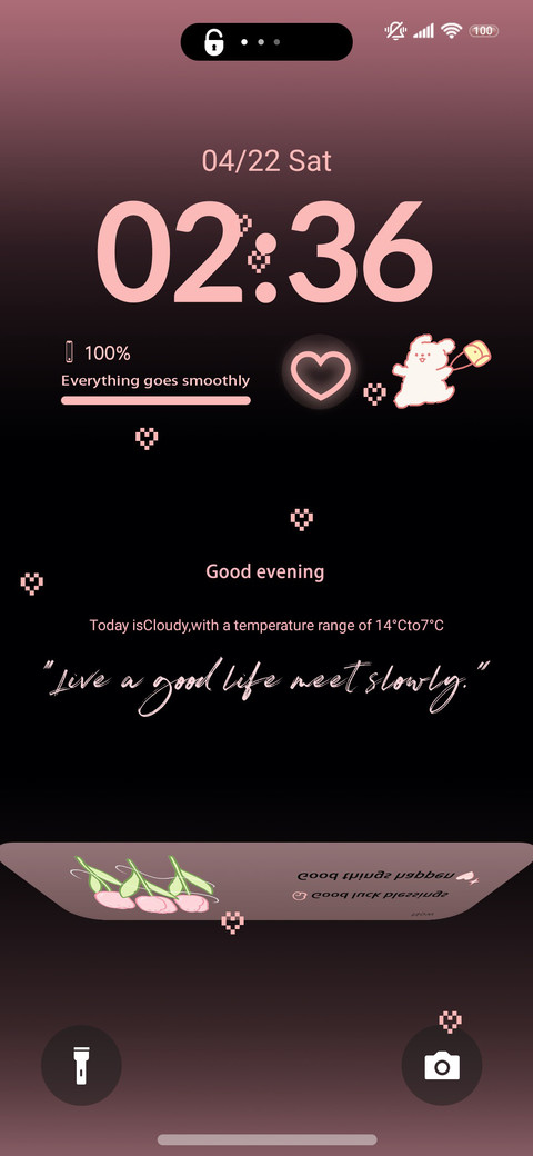 Pink Black Smart preview