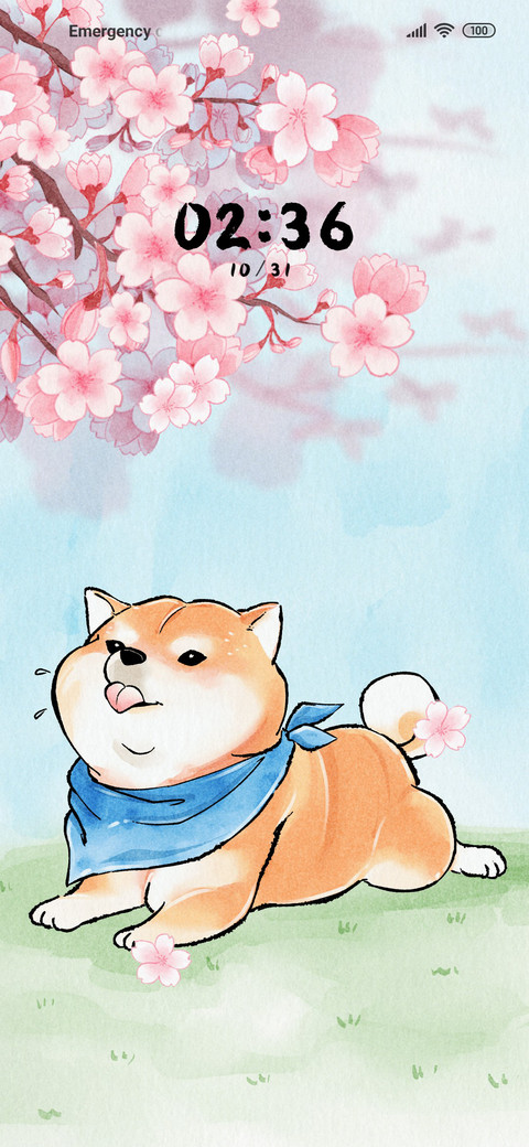 Cute Shiba Inu preview