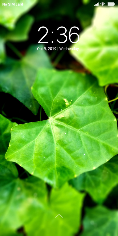 Leaves_DWM2 preview