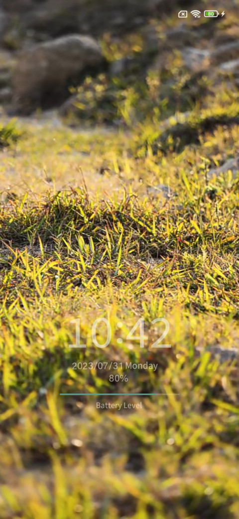 Sunny grass preview