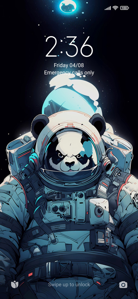 Panda astronaut preview